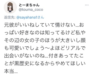 久しぶりにすっごく嫌なリプが届いた🥲

いつもなら優しく返すし、アイコンも隠したいけど、今回はハッキリ言わせて。どんなに可愛くても胸が大きくても、そんなに性格が悪いなら恋人も離れていくよ。 https://t.co/dsdssycp5f