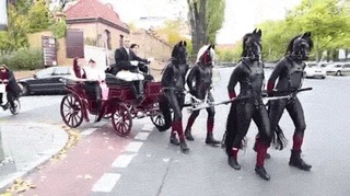 want this form transport