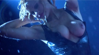 pamela anderson nude from