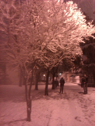 let snow http://t.co/5gjcbaiy
