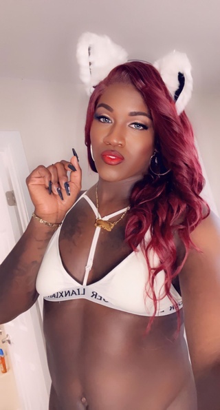 Shemale Tranny Galleries - Black Shemale Pictures - YOUX.XXX