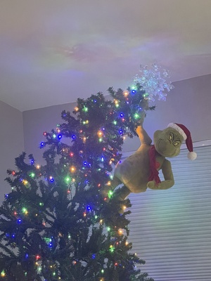 When you let your brother buy your next Christmas tree, because you don’t have a Costco membership and he does, and he buys one too big cause it was on sale, and now you have to find a creative way to fit it in the house……. https://t.co/dgBu0ir