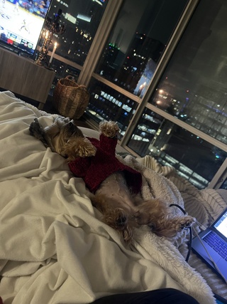 goodnight https://t.co/bhohizsfbr