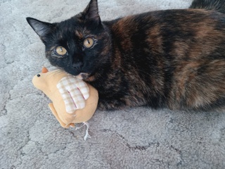 duchess nebula le encanta her