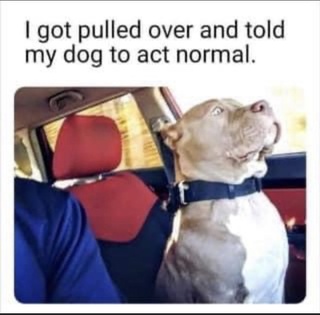 🤣😂🤣🤣😂 https://t.co/f9fn7estj5