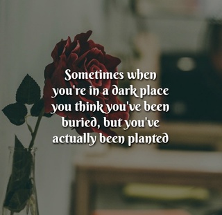 sorry for absence lately