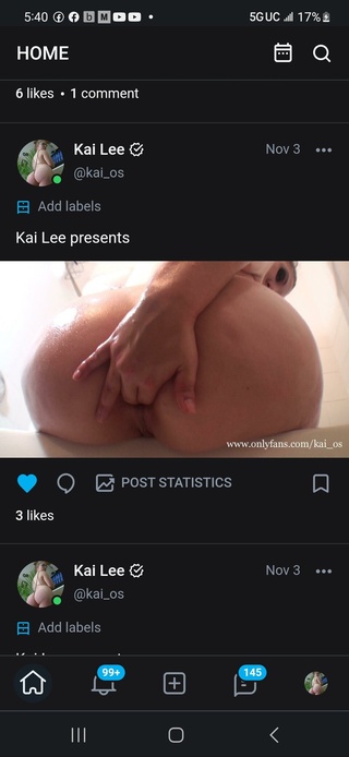 kai lee