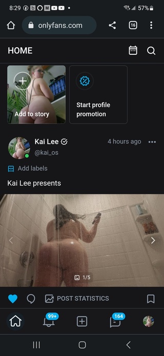 kai lee