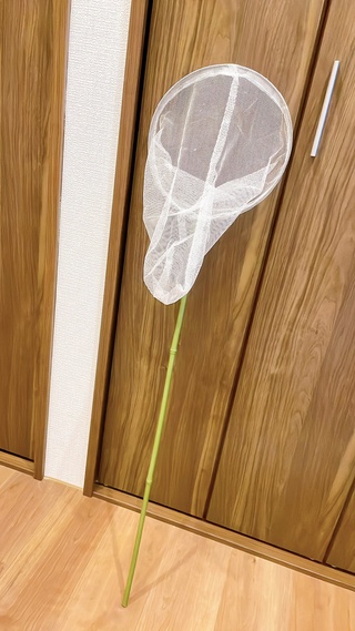 今日東洋さんへの荷物を送ったのですが
虫とり網は原の梱包が甘く預かって貰えませんでした😭

つまり！
原は虫とり網を持って新幹線に乗ります！！！
季節外れですが！！！
少年のような気持ちでこのミッションに挑みたいと思います🥳 https://t.co/zmvmmnd8uq