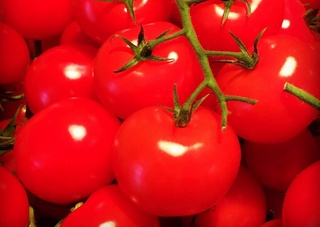 tomatoes have right looking