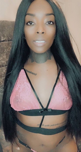 conectado now:
https://t.co/pot8zh6lkn

@caribbeanciarax 

@exquisiteladys @misswetandwild