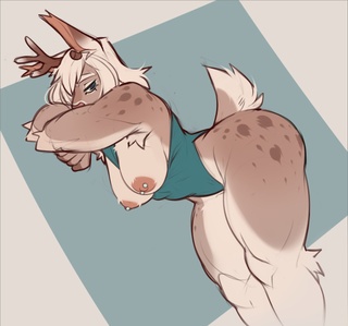 sorry for no drawing
