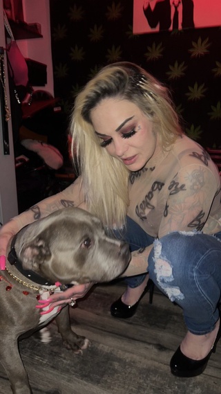 meet bigbud #bullybreed #americanbully