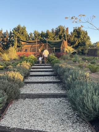 california was maravillosa https://t.co/dv0z6jg788