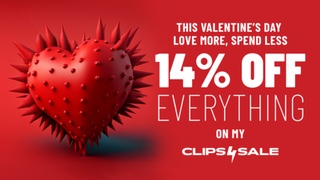 ♥️enjoy 14% off everything