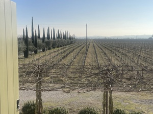 The Amarone Wine Country, Valpolicella 🇮🇹🍷🍇☺️🤌🏻 #Amarone https://t.co/5MhNbvM4db