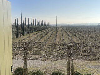 the amarone wine country