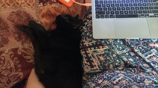 emotional support clip editing