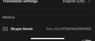 ⚠️fake skype account pls