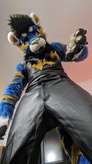 💛we are digging @manedstripes