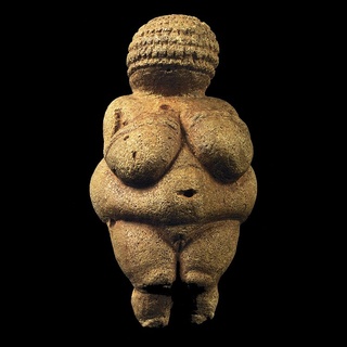 thinking about the venus