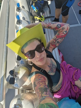 today i'm gonna dive