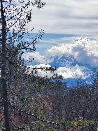 the vista from cabin