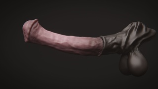 [model release] horse dong