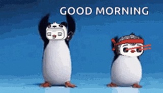 good morning thankyou for