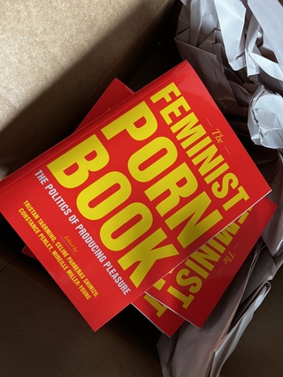 "the feminist porn book"