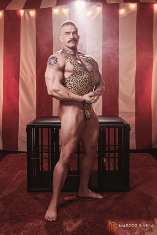 the circus came town