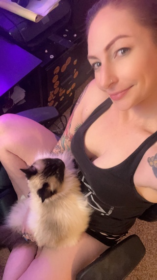 it’s sábado de gatos right meow