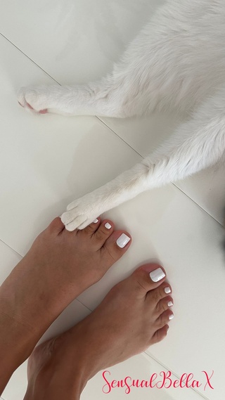 paws and pedicure bliss