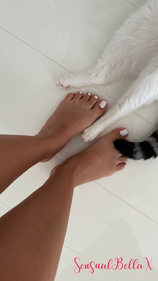paws and pedicure bliss