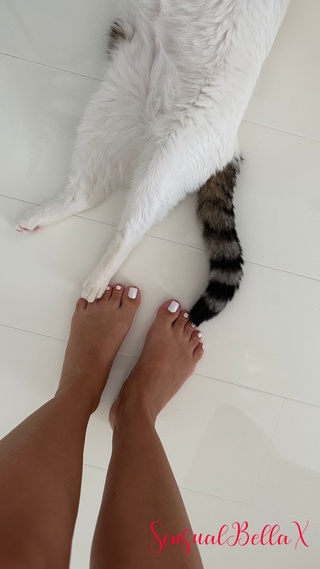 paws and pedicure bliss