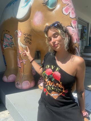 🐘🩵🪽🐘 https://t.co/iuhleqkji1
