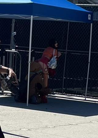 what the fuck happening