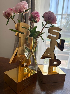 Thank you so so much to all of you who took the time to vote for me for @SNAP_Together Awards. It never ceases to amaze me just how kind, supportive and dedicated you guys are xx you make me feel so special xx https://t.co/sxnFte80eE