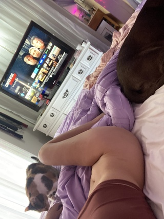 sorry… the bed too