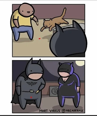 stupid b-man https://t.co/qnaw2zeiky