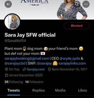 Another scammer pretending to be me from my SFW account. Please block, report and stay safe from these types! https://t.co/QoxFSsw5nr
