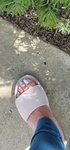 After this little buggy tried to cross my path I let it turn around and go free, allowing it temporary relief of going unscathed by my giant foot. I fully intend to hunt it back down later. 😈 https://t.co/JlLgkl8s09