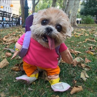 happy halloween everyone safe