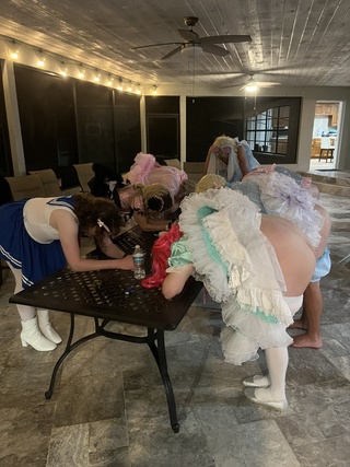 all the sissies lined