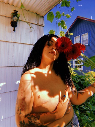 Мүйізді дымқыл письки