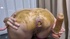🔥Watch my very dirty content 💩
➡️ https://t.co/j5K4jK0ouv

#scat #dirtyanal #anal #girls #masturbation #femdom #poop #pooping #girlspoop #girlsscat @FemScatSocial https://t.co/kOEkLK5nyF