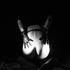 Store item SOLD! exposed in LATEX mask and black GLOVES 🛍️ Get yours ➡️ https://t.co/KC17EPyOas #MVSales @manyvids https://t.co/hRsn6IOeAH